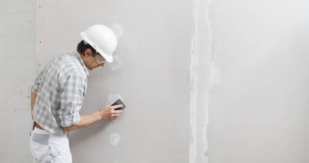 Best Water Damage & Mold Remediation  in Titusville, FL