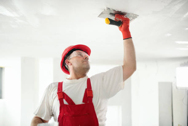 Best Residential Mold Inspection & Testing  in Titusville, FL