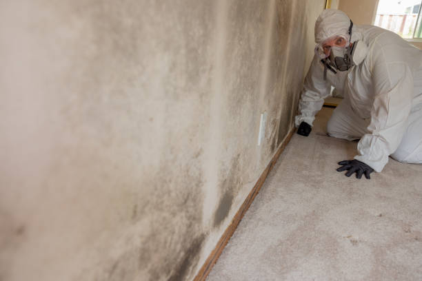Best Mold Documentation for Insurance Claims  in Titusville, FL