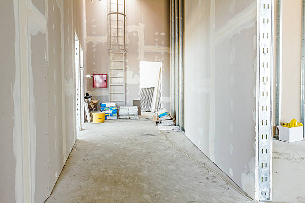 Best Air Quality Testing for Mold Spores  in Titusville, FL